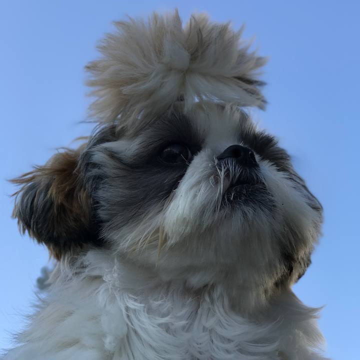 Ba045fc9 57f3 49ad b3a4 ee8a9c2eb626