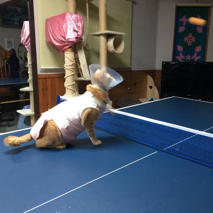 Ba04e773 0567 4557 9ec6 ab2960c31ca8