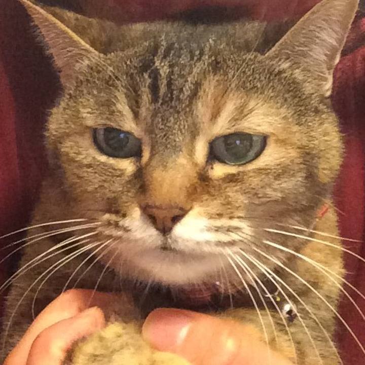 Ba051412 d1b1 408b a1d5 f1a2db173603