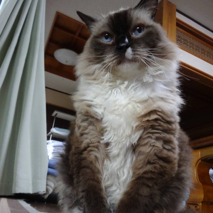 Ba0554c4 60d4 4aa2 94e0 475b8a8414f1