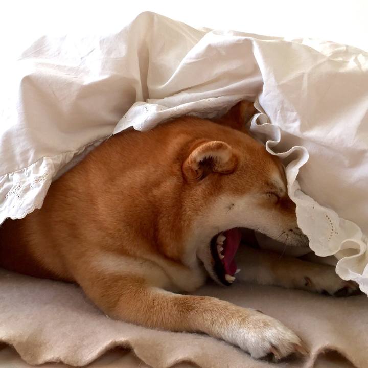 Ba057202 db54 4e1b 9f4b 889c62876946