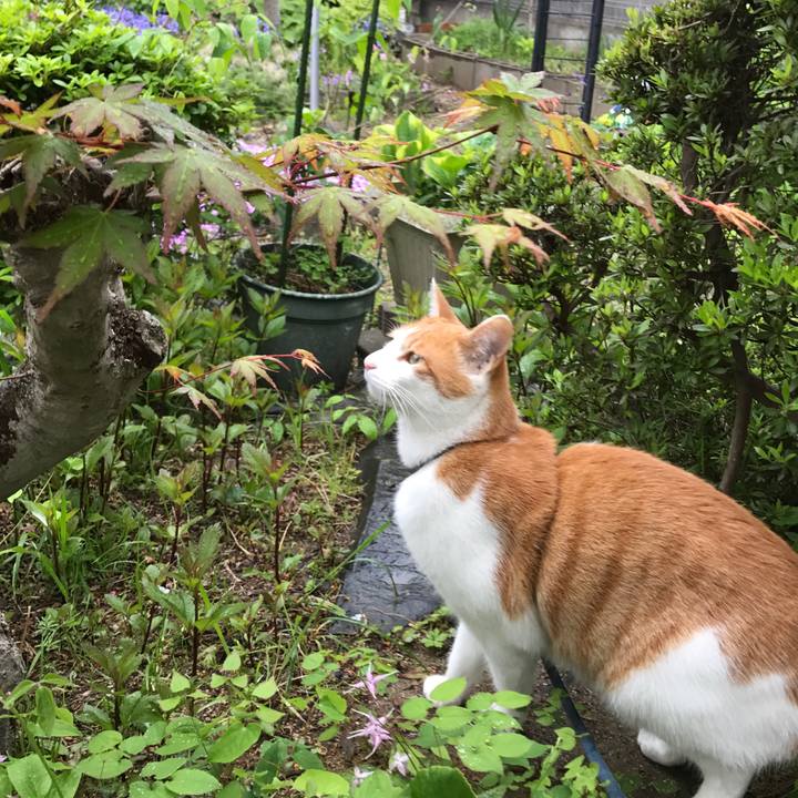 Ba058943 feae 43c9 a38e 16db1dd4887d