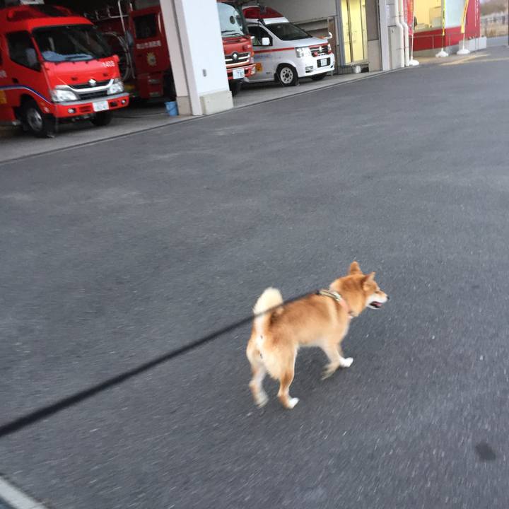 Ba059e02 bd0a 4bcf 833e d37620e90fb0