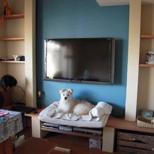 Ba05b056 698b 4066 8abb e0b4d45b39ff