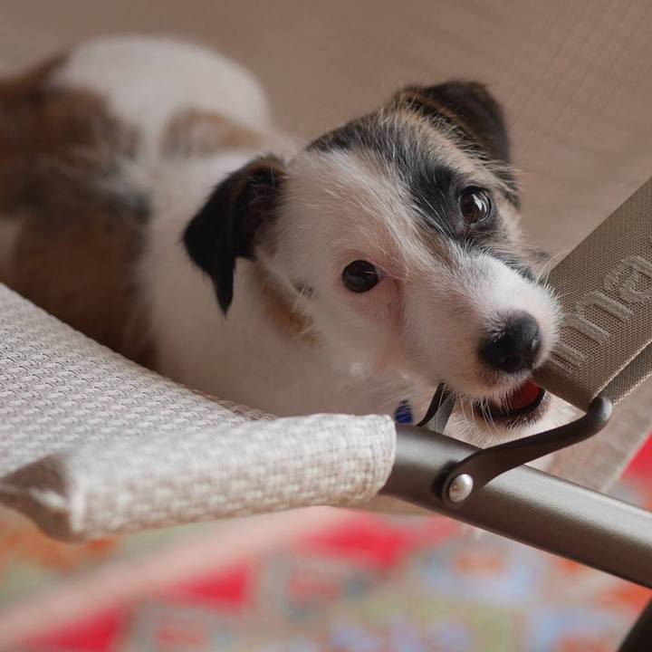 Ba05fda2 5c7d 45e3 a24d 32ef48d19d0c