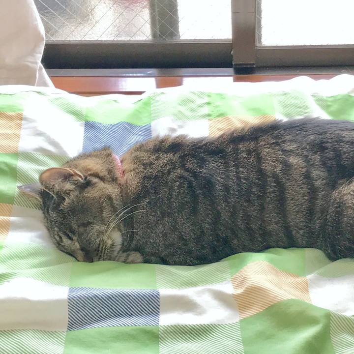 Ba060123 9bdd 4ed1 ba9d 823e7f6b1a9a