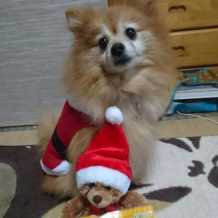 Ba065316 d3bb 456d 87a9 e6c1ca956a62