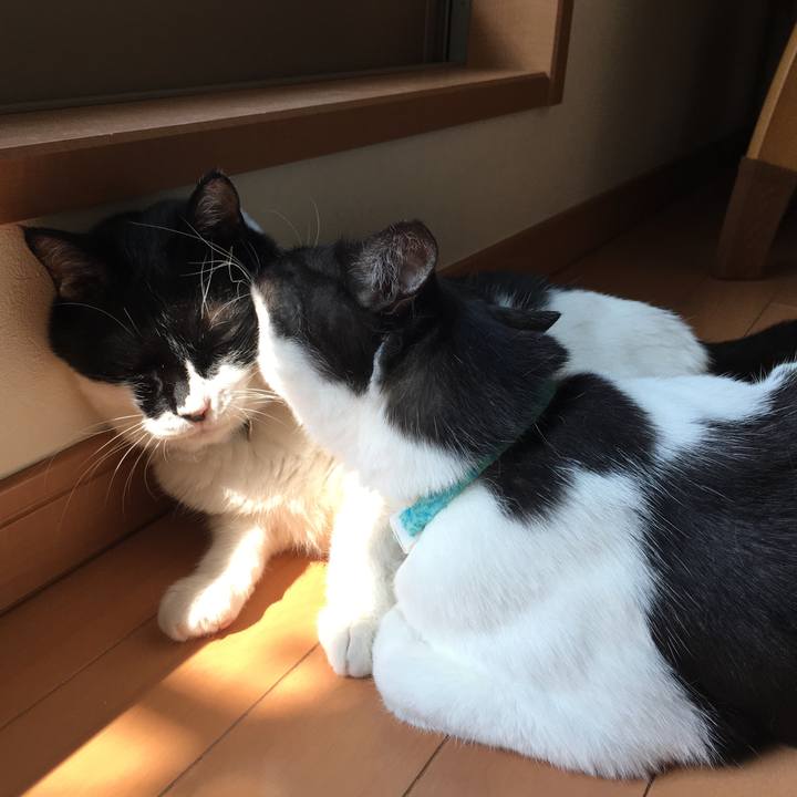 Ba06b997 d439 4045 88f2 33c2b549eff5