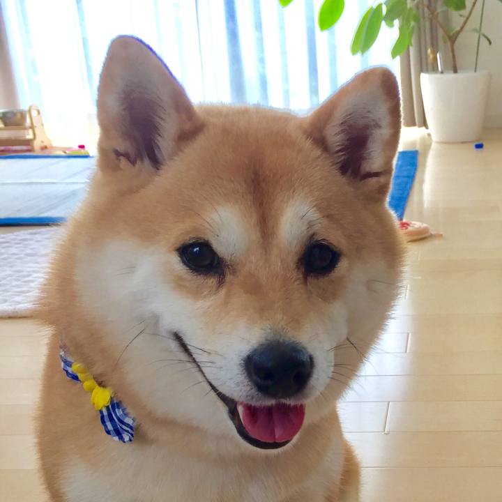 Ba077c18 b4a1 404f 8649 a08315cfe469