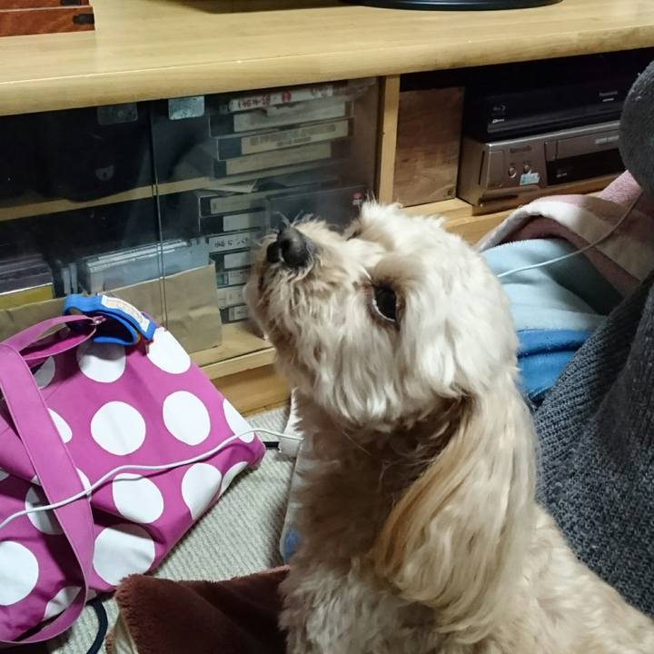 Ba077ce6 5957 45cc a835 3ef3b4bc63fe