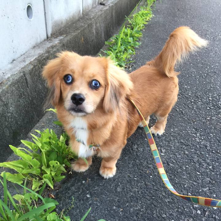 Ba0781be e674 4439 883b 4b7c4061efbd