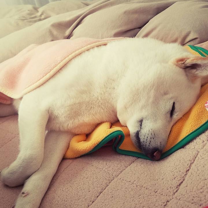 Ba0786a5 aac8 49c6 a760 e38a01d8dea9