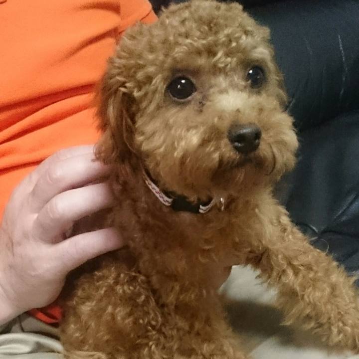 Ba079f89 10e1 4808 8ff1 4e96d9b975d2