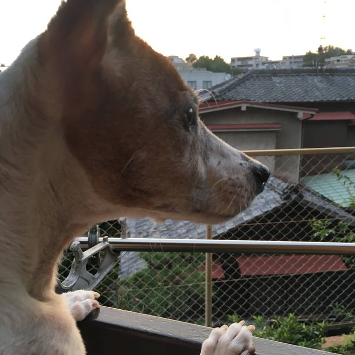 Ba081867 9c60 4b7e b3f8 7c2001ed3c4f