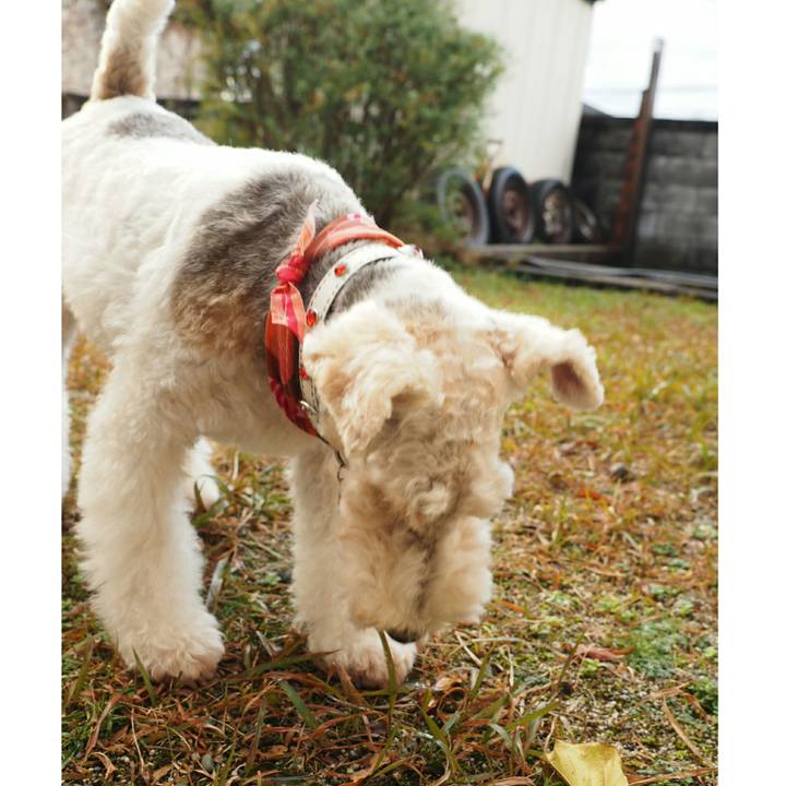 Ba0880cd 7c2c 431b 83f9 07aab5a52e6f