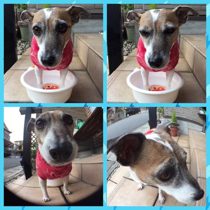 Ba08ab0f 7fdd 4b61 91ae 9c95d09628e0