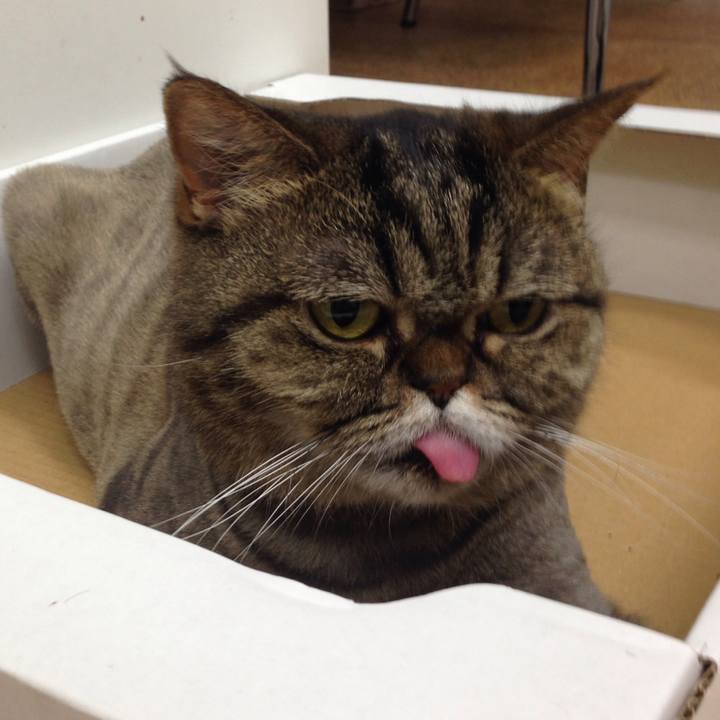 Ba094a15 76f7 43b3 a247 96bd302aff42