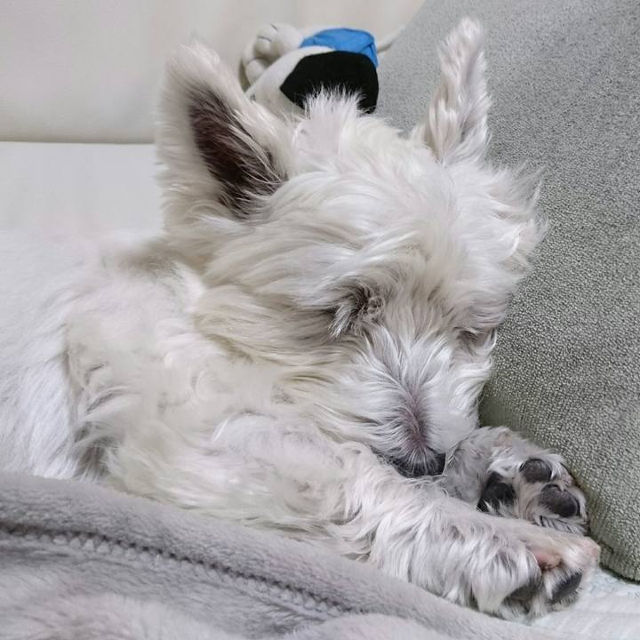 Ba095310 e527 45d3 bdc2 ed03d9c7a8fe