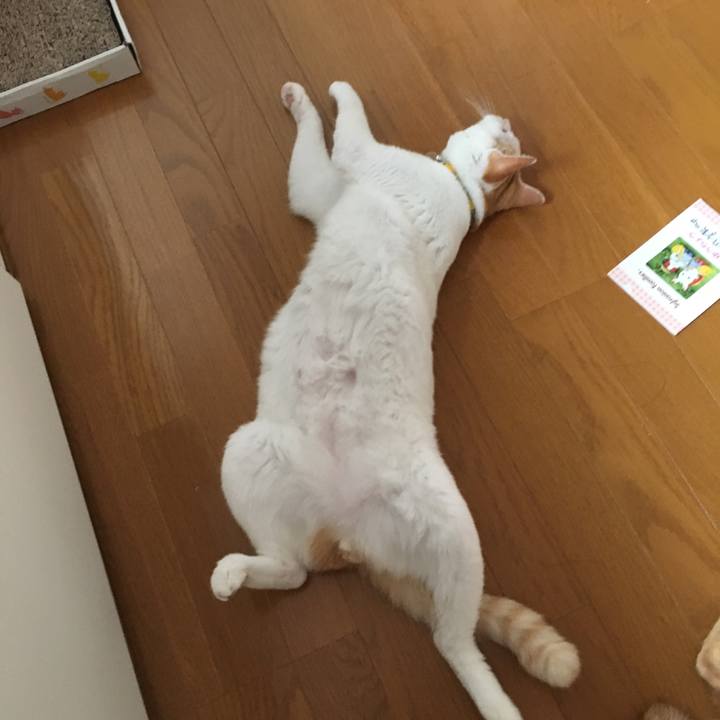 Ba09911a fe5d 4409 90c8 75883d2d2bdb