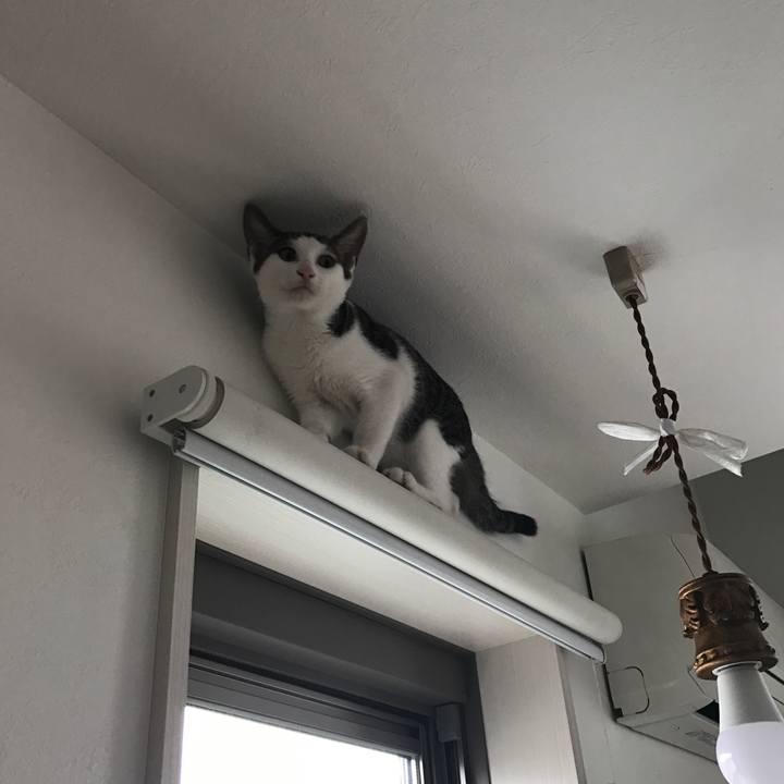 Ba09e064 7237 420c 9161 a0d63698d891