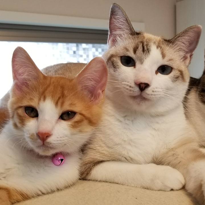 Ba09fba2 5450 46ce b95a 21810b570e69