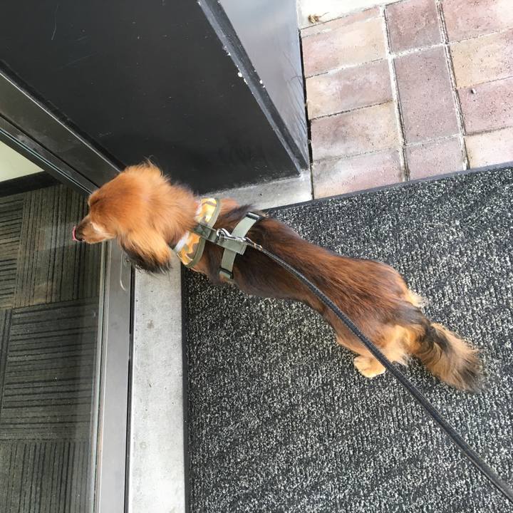 Ba0a1df9 2526 414f 8ae1 4aca7122c850