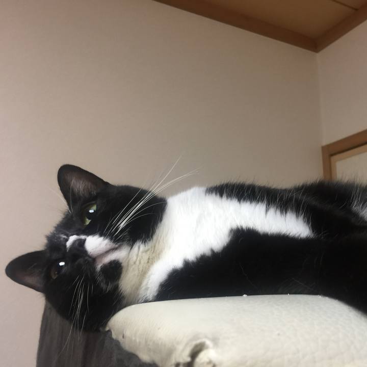 Ba0a3ef8 8f9f 46b3 9308 047d502ccb46