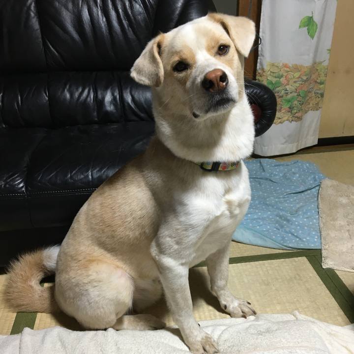 Ba0a67cf 9276 44e2 bc42 54f911c2ef8e