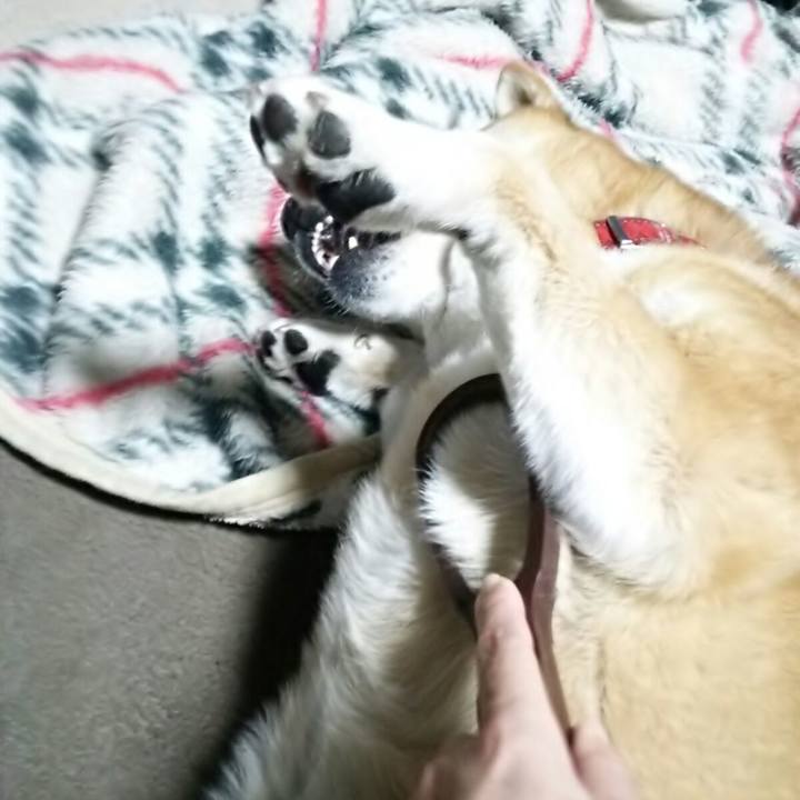 Ba0a74fd e6c8 4058 a7c4 20948523bbc0