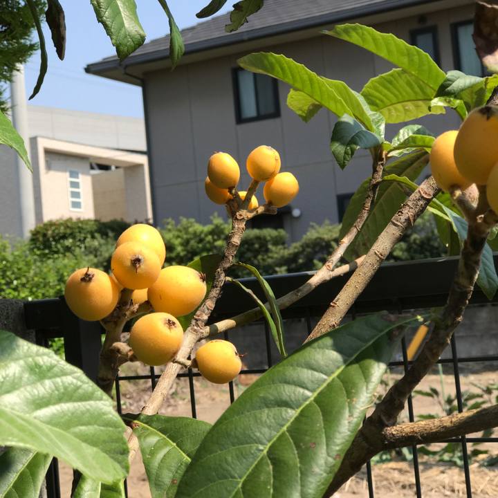 Ba0ac480 78e2 43c9 ac49 51c0cc3e6822