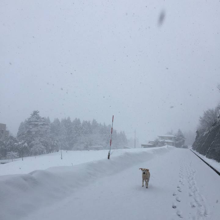 Ba0b5287 1daa 4db7 8cf6 a15b96c37ff1