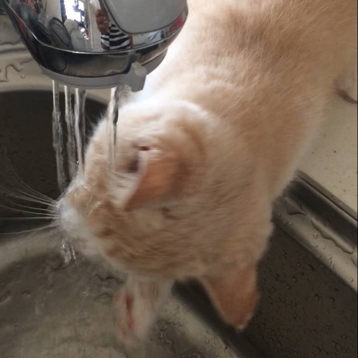 Ba0c10c1 a27d 4fad a04c 90bc9dce7504