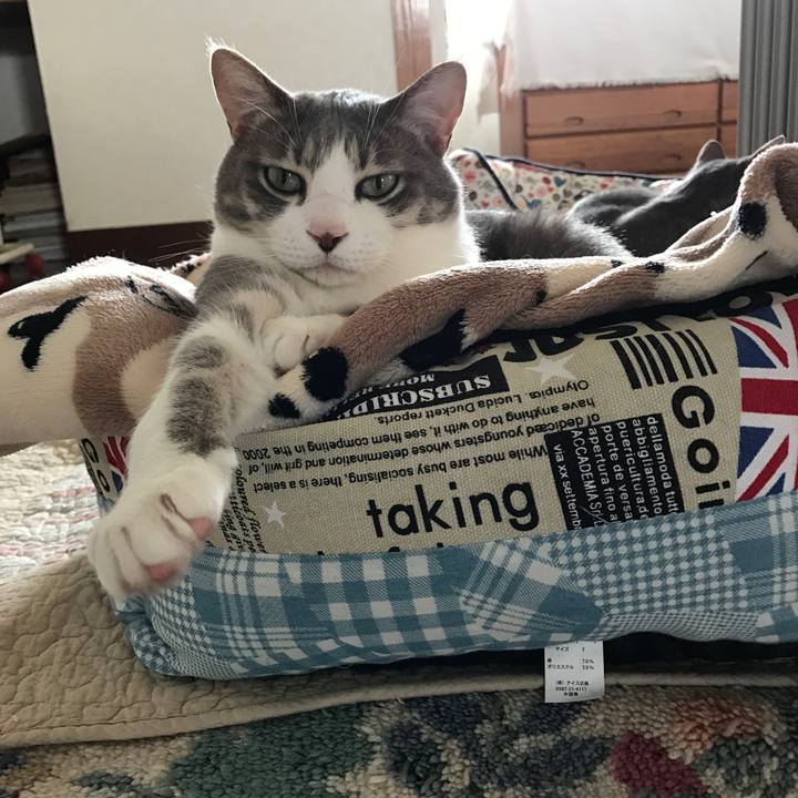 Ba0c429c b2d6 4a92 9db5 19e36ff0926b