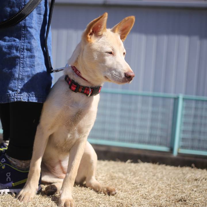 Ba0c53c6 548d 428d abd3 cb0e45f5f5c5