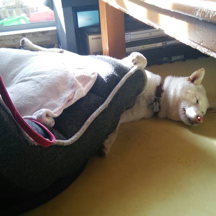 Ba0c6e2b f44c 4c61 96ea 3f3dac6d9f67