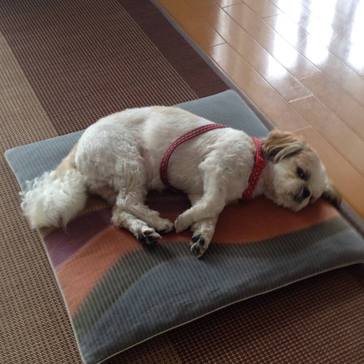 Ba0cc0f6 a7dc 484a 9ee1 9ea691b2af76