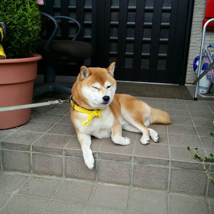 Ba0d0a7d 111e 414a 858b 015b82315982