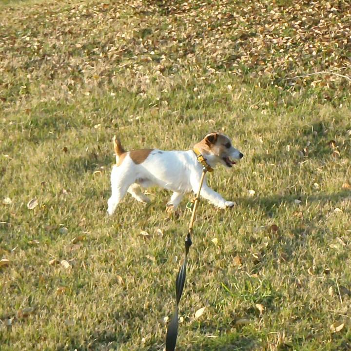 Ba0e0957 ff28 4961 9760 926a5fddcdc6