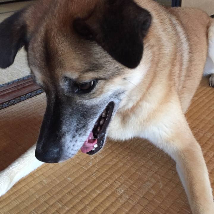 Ba0eb7f5 a2b9 4e8c bd6e c302a0d81f5a