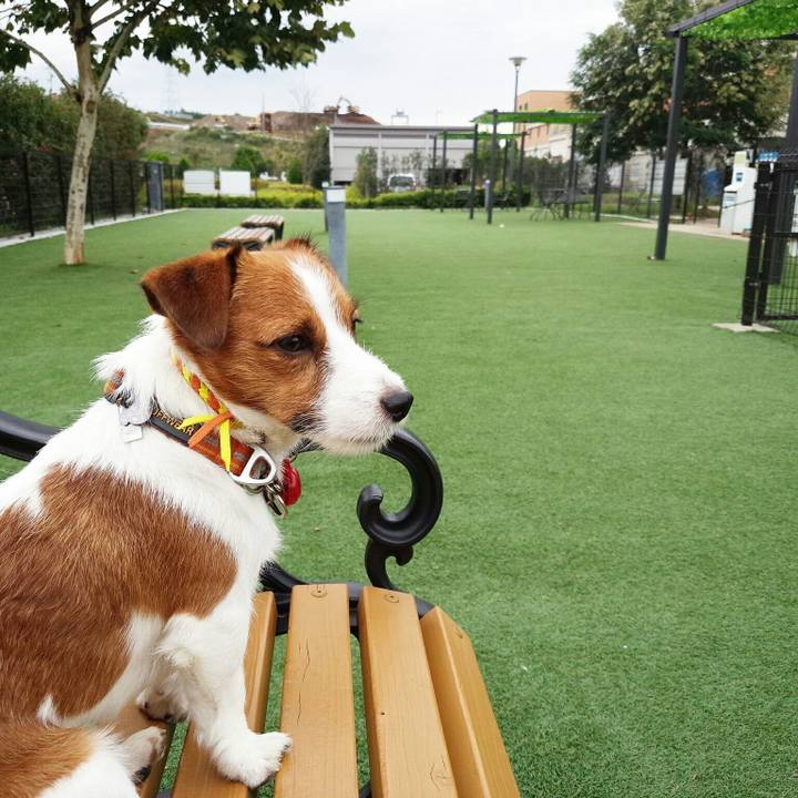 Ba0f7995 2afa 411b a07d 924a478c37b1