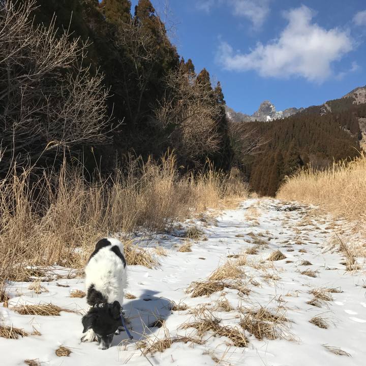 Ba0faf66 e304 482f 9320 8eb424b2cda5