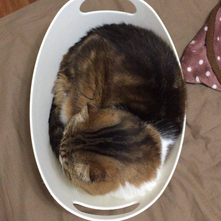 Ba1023f0 7168 4cf5 ad9f bb9283939cf4