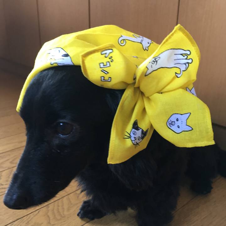 Ba103f69 0a81 45d6 b458 a5dbb35fc4cb