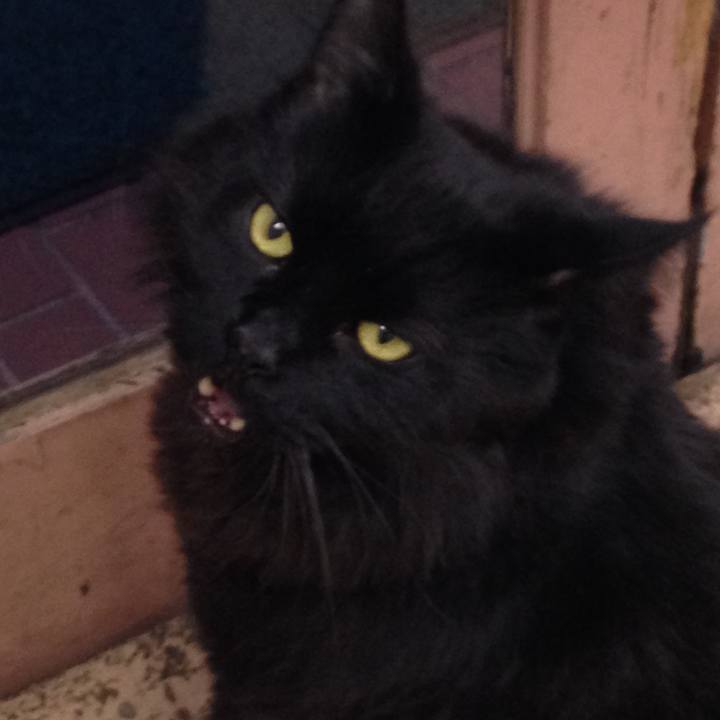 Ba1070f2 9cfd 4a05 b0b3 0b9506039c60