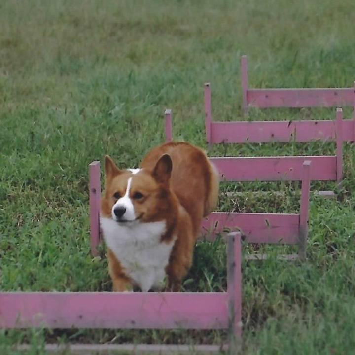 Ba1096b5 f5e6 46f5 ab20 f448381da341