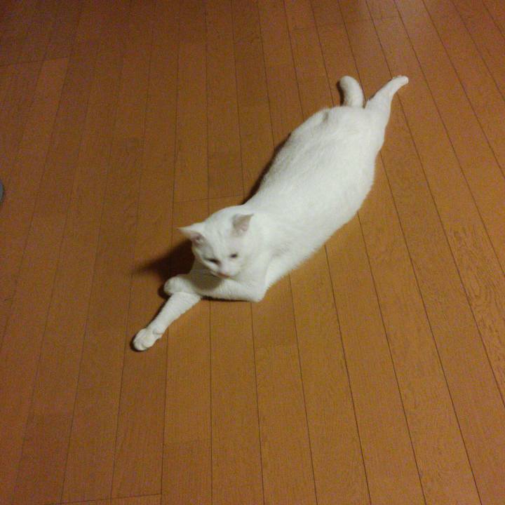 Ba120d66 7a0c 4a0c 9a3f e76cf0f17ff3