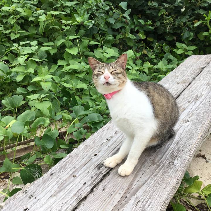 Ba12b324 9d87 46a5 879e df7065d7a4d6