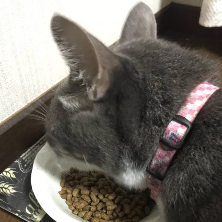 Ba130a61 5c1e 432a 8715 78f5e0fd0cae