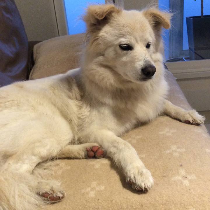 Ba1331bf 4a69 4233 a864 832c8357d575