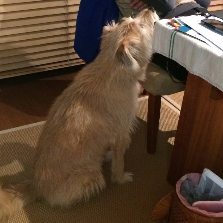 Ba139e92 0bfa 4fea 968d 6a64fdd620a0